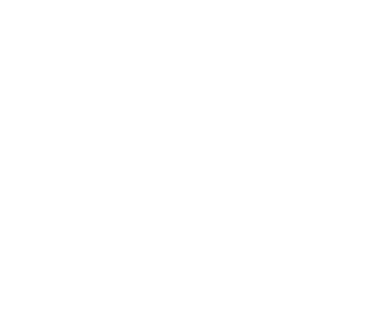 influence icon